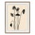 Lotus Pods by Susan Hable For Sale