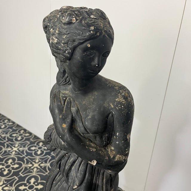 19th Century Venus Italica Ebonised Garden Statue For Sale - Image 12 of 15