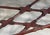 Hammary Mahogany Faux Bamboo Coffee Table With Scalloped Glass Top For Sale - Image 10 of 12