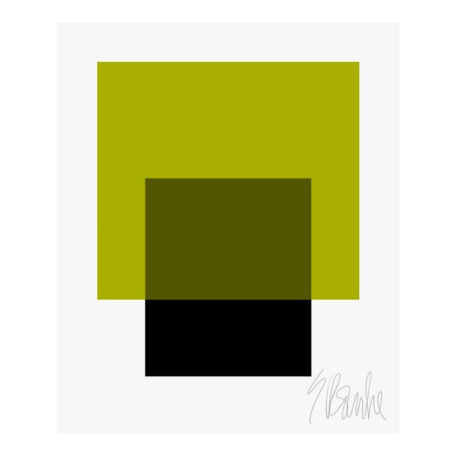 The Interaction of Black and Leaf Green Fine Art Print 35" X 45" by Liz Roache For Sale