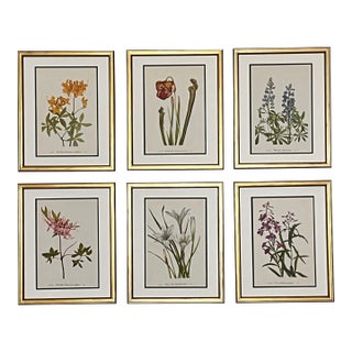 Vintage Botanicals Set of 6- Authentic Vintage 1968 Flower Prints For Sale
