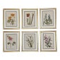 Shop Timeless Walls
