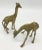 Two cute little brass giraffes, one looks like it is bending down, the other standing up. The bending down one is 3”w,...