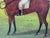 Olive English Oil Painting of Racehorse Persimmon With Jockey Jack Watts, Royal Thoroughbred Portrait Circa 1898 in the Manner of John Frederick Herring Sr. For Sale - Image 8 of 18
