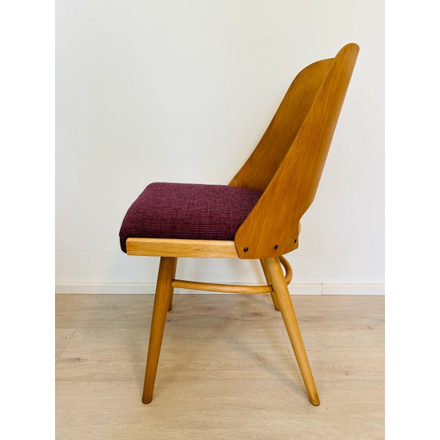 Vintage Czechoslovakian Chair by Radomir Hoffmann for Ton, 1960s For Sale - Image 9 of 12
