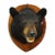 Vintage Black Bear Taxidermy Head Mount C1950 For Sale