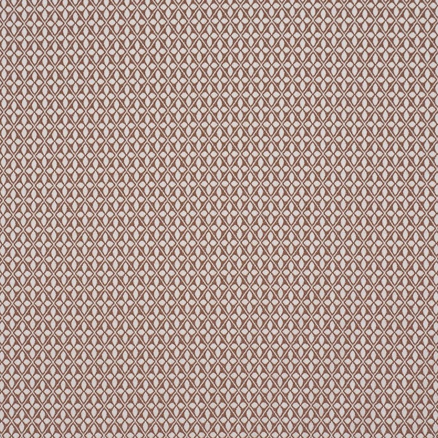 Sample - Schumacher Adams Damask Fabric In Brown For Sale
