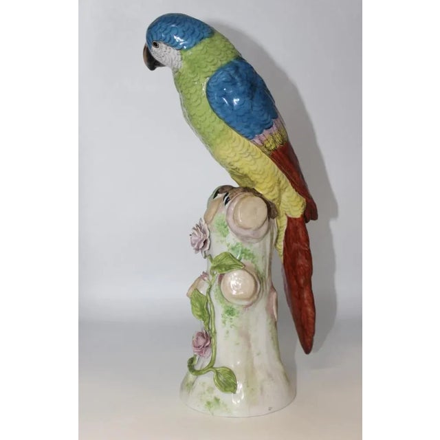 Porcelain Parrot in the style of Meissen, 20th Century For Sale - Image 12 of 12