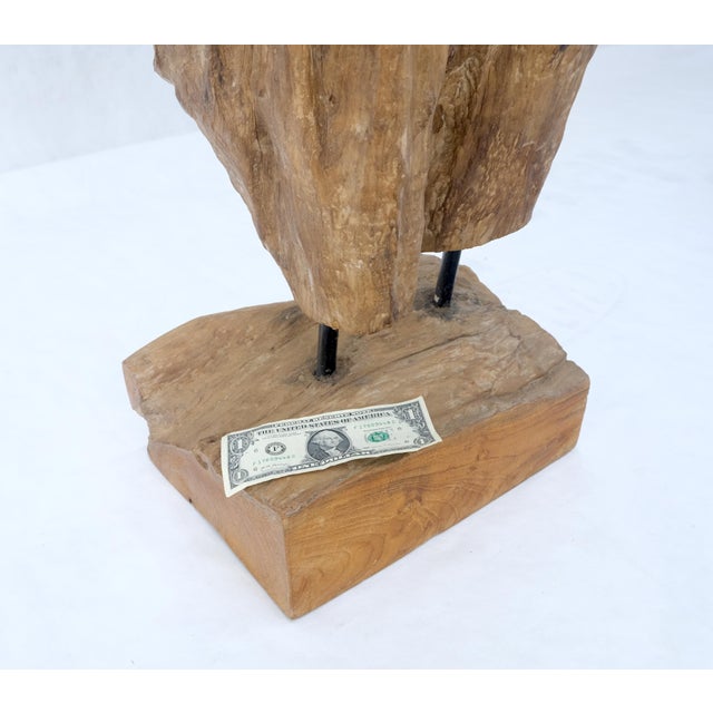 Large Standing 6.5' Tall Abstract Driftwood Sculpture on Wooden Block Base For Sale - Image 9 of 9