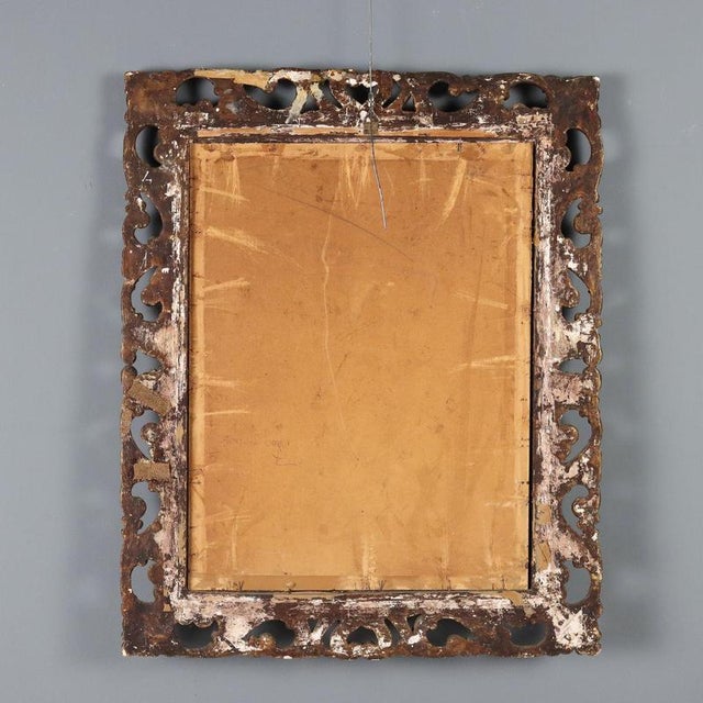 School of Giacomo Francesco Cipper, Portrait, Oil on Canvas For Sale - Image 10 of 12