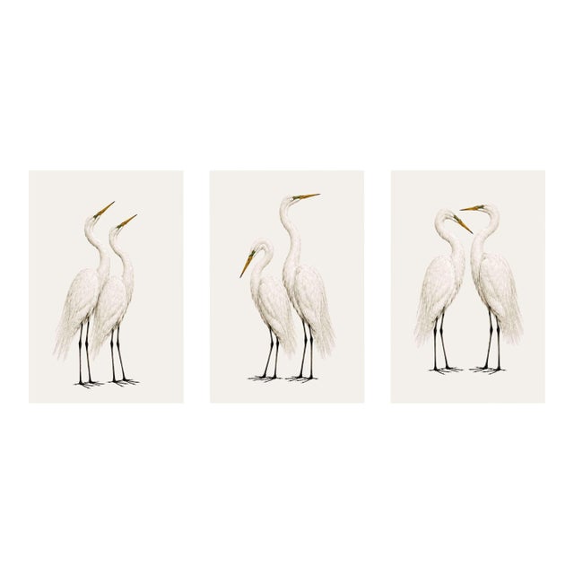 Crane Studies 1 - 3, Neutral Coastal Bird Art Triptych, 24" X 36" For Sale