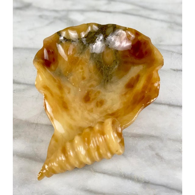 Hollywood Regency Vintage Hollywood Regency Coastal Shell Italian Alabaster Soap Dish Bowl For Sale - Image 3 of 7