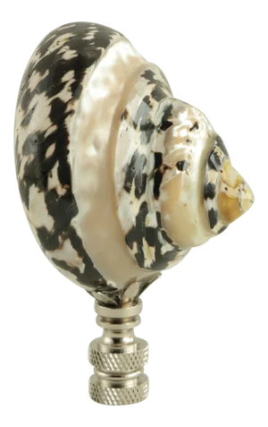 Zebra Shell Mother of Pearl Lamp Finial on Chrome Hardware
