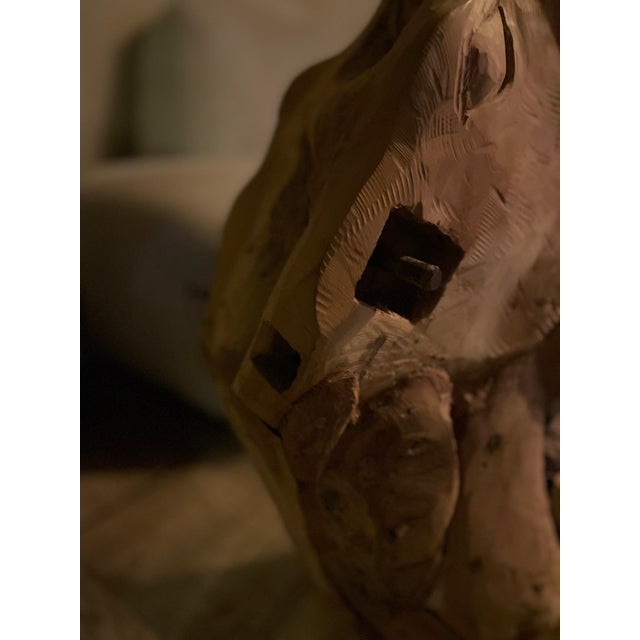 Tan Teak d'Elan Trophy, For Sale - Image 11 of 14