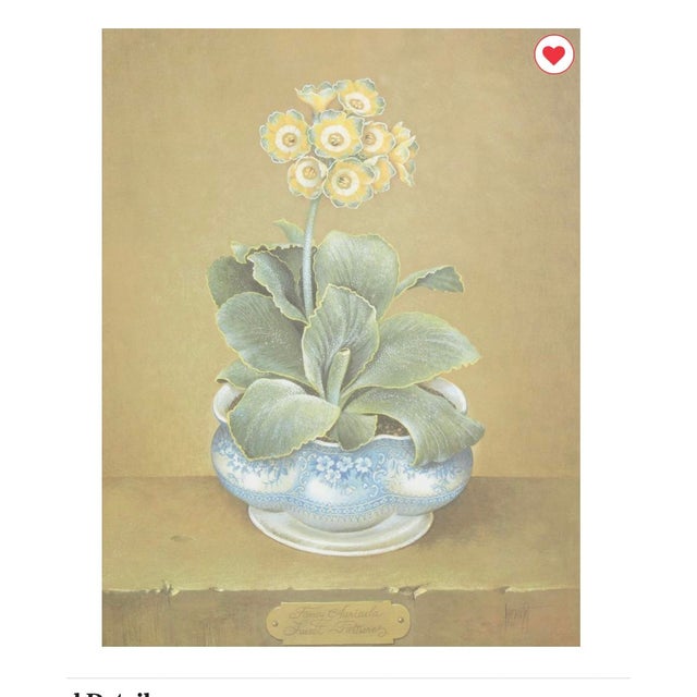 Rustic European Set of 5 Stunning Botanical Framed Prints Signed and Numbered For Sale - Image 3 of 18