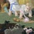 Unknown Artist, Tempera on Cardboard, 1880, Mixed Media For Sale - Image 13 of 16