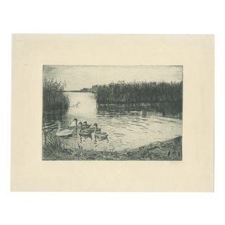 Ernst Kropp, Marsh Landscape with Swans, 1910, Etching For Sale