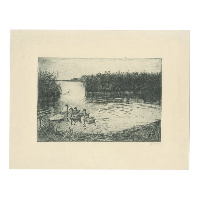 Ernst Kropp, Marsh Landscape with Swans, 1910, Etching For Sale