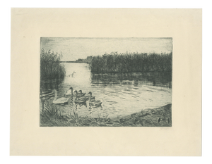 Ernst Kropp, Marsh Landscape with Swans, 1910, Etching