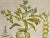 This is a hand-colored copper plate engraving entitled "Cataputia Vulgaris, Parietaria Sylvestris, Nummularia", depicting...