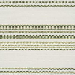 Schumacher Solana Stripe Indoor/Outdoor Fabric In Green For Sale