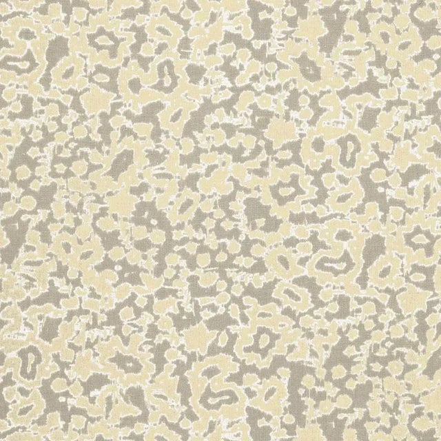 Sample- Schumacher Rain Dance Fabric in Stone For Sale