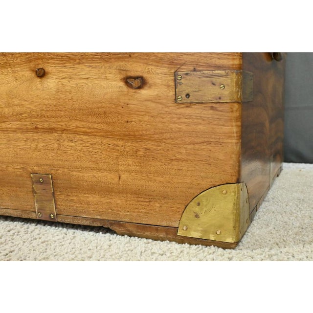 Camphorwood Marine Trunk, 1800s For Sale - Image 14 of 18