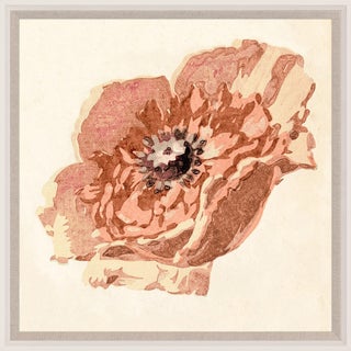 Pignier, Flowerhead 2, Framed Artwork For Sale