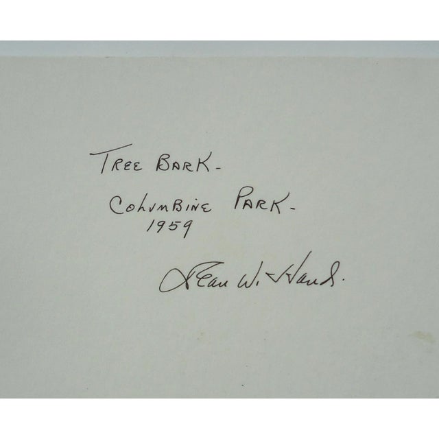 1950s Modernist "Tree Bark" Photograph Dean W Hand For Sale - Image 5 of 5