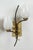 Pair of mid-century French sconces. Glass & Brass material. Newly rewired for 2 standard sockets, up to 75 watts.