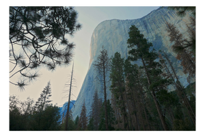 Jo Crowther, El Capitan, 2016, Archival Inkjet Print