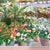 1970s 1970s Honey W. Kurlander "Greenhouse" Original Oil Painting on Canvas For Sale - Image 5 of 9