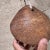 Wood Antique Rustic Cow Bell in Solid Oak, Unattributed, 1930s, Usa For Sale - Image 7 of 13