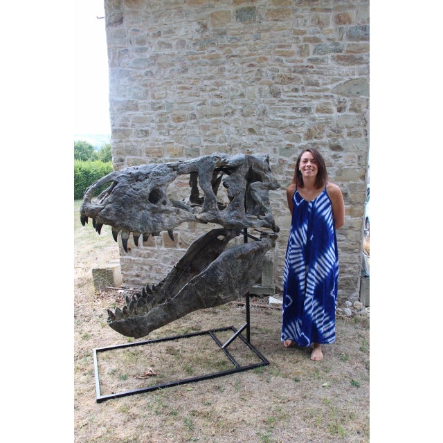 Unknown, Tyrannosaurus Head Fossil for Museum, 1800s, Resin For Sale - Image 4 of 14