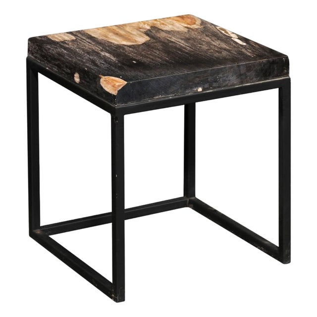 Black & Tan Petrified Wood Top Side Table For Sale