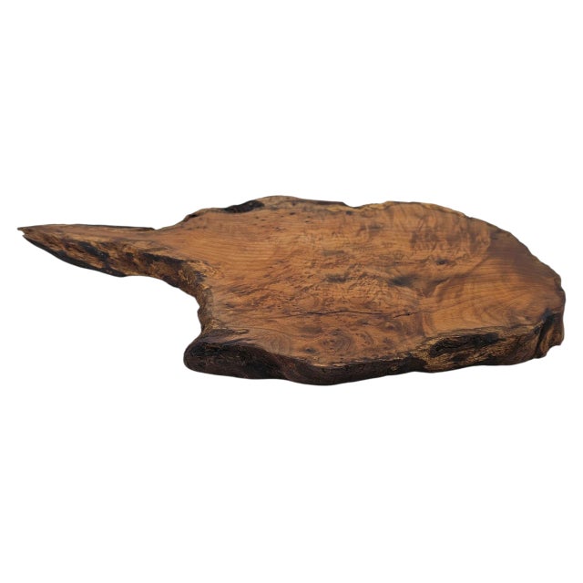 Contemporary Japanese Bonsai Stand Organic Modern Wood Burl Shou Sugi Ban16" For Sale - Image 3 of 10