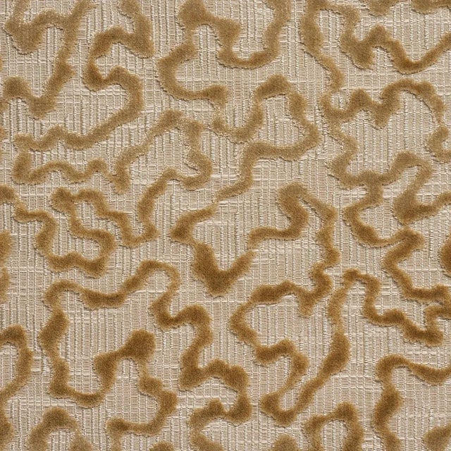 Schumacher Schumacher Janis Velvet Fabric in Champagne For Sale - Image 4 of 4