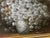 Large Still Life Oil Painting On Canvas By Nancy Lee. Size :- 96 x 65.5 cms