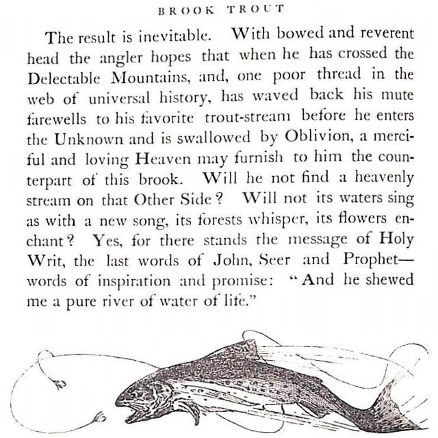 "The Speckled Brook Trout" 1902 Rhead, Louis For Sale - Image 9 of 12