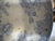 19th Century Asiatic Pheasant Platter For Sale - Image 12 of 17