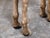 Mid-Century American Carved Wooden Giraffe Sculpture with Natural Finish For Sale - Image 11 of 12