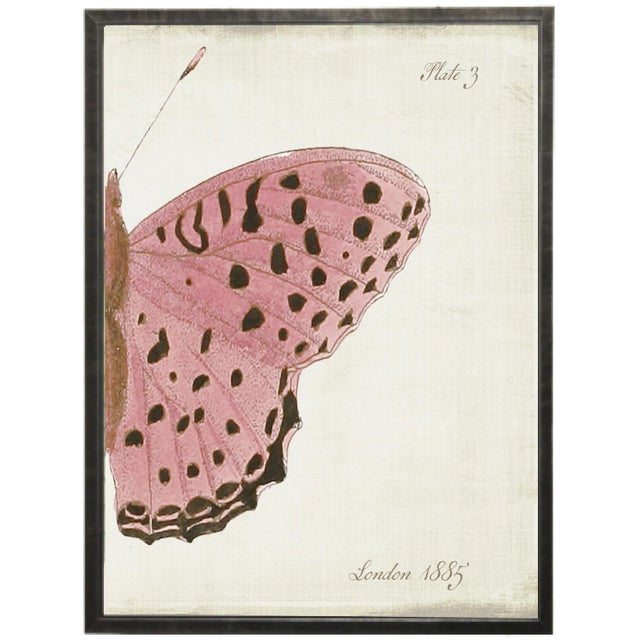 Illustration Split Pink Butterfly in Pewter Shadowbox - 62" x 37", Set of 2 For Sale - Image 3 of 4