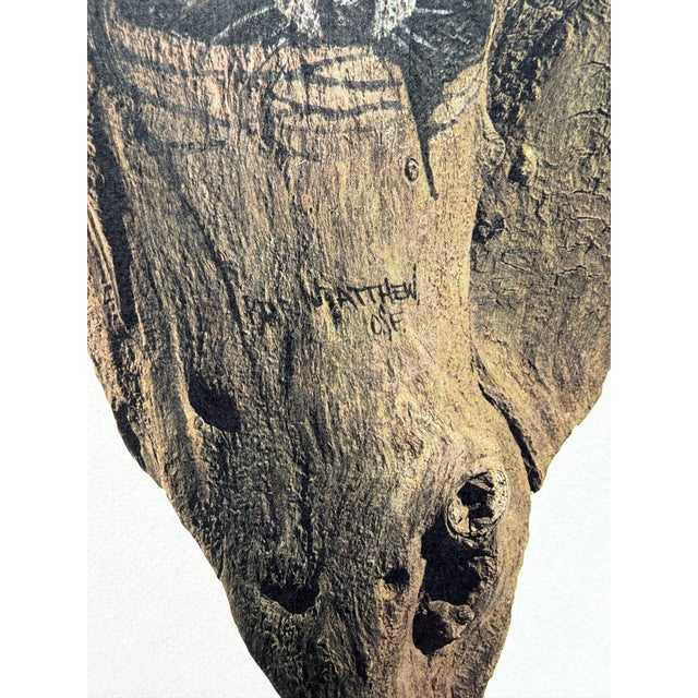 Folk Art Vintage Lithograph by Brother Matthew Entitled “Peeking” - Raccoon Print For Sale - Image 3 of 4
