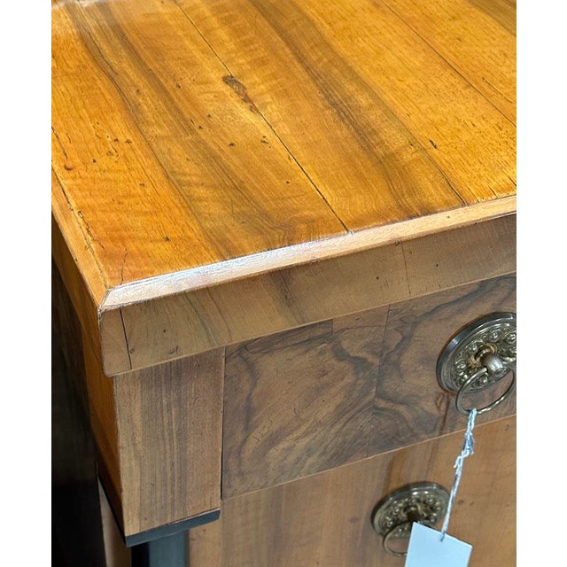 Wood Biedermeier Walnut Chest of Drawers, 1840 For Sale - Image 7 of 9