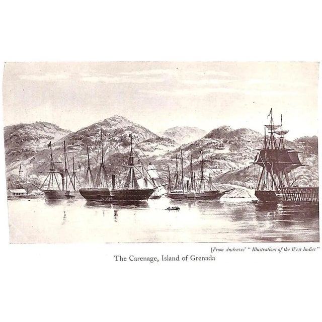 "West Indian Summer a Retrospect" 1943 Pope-Hennessy, James For Sale - Image 11 of 12