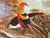 Large-scale statement piece oil on canvas depicting a pair of golden pheasants perched on a gnarled branch, set against a...