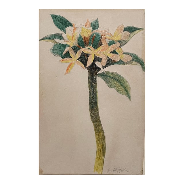 Joseph Stella (American, 1877–1946) Floral Study, Pencil and Crayon on Paper For Sale