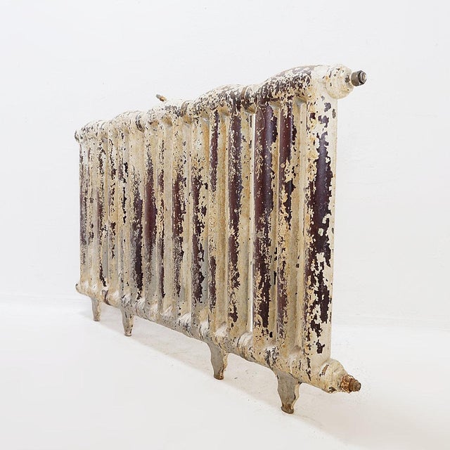 Victorian Cast Iron Radiator with Leafy Branches and Flowers, 1890s For Sale - Image 10 of 16