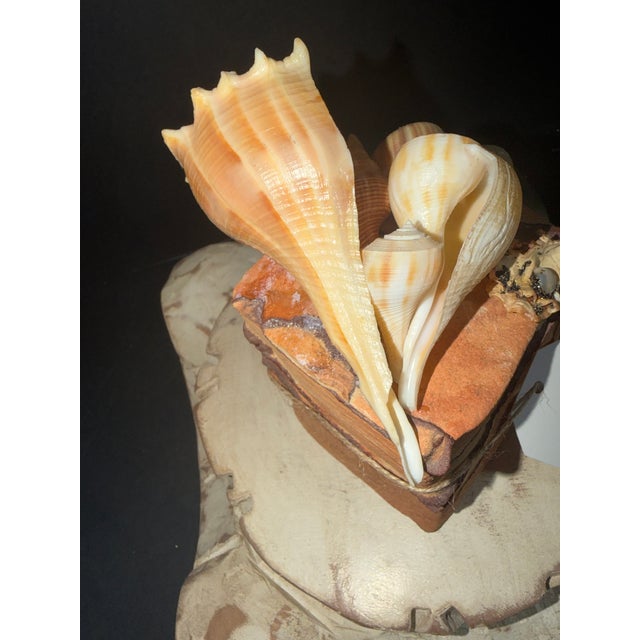 Shell Celestial Meets the Sea “A Trip to Sedona”-Coastal Art Sculpture For Sale - Image 7 of 7