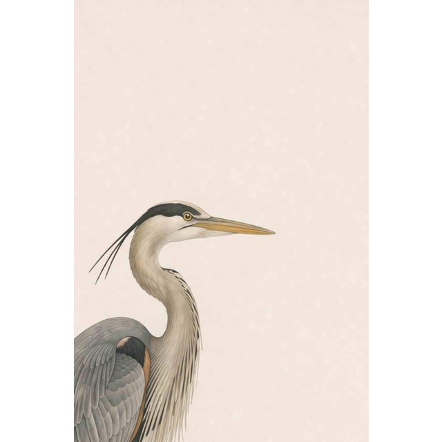 Great Blue Heron Coastal Study, Neutral Bird Wall Art Print, 20" X 30" For Sale - Image 4 of 11